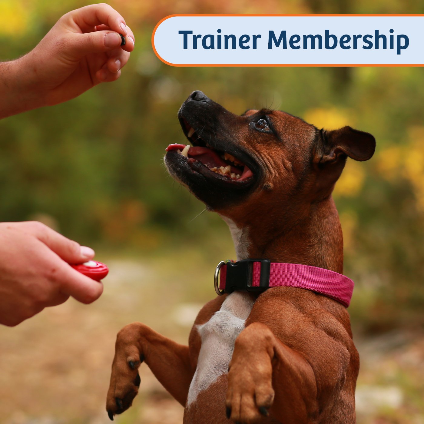Trainer Membership